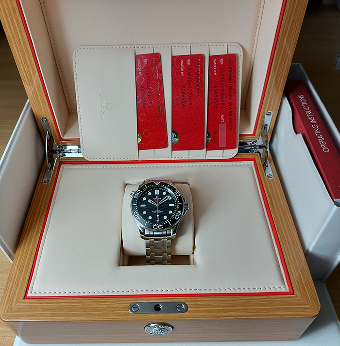 Omega Seamaster Diver 300M Co-Axial Wristwatch Ref. 210.30.42.20.01.001